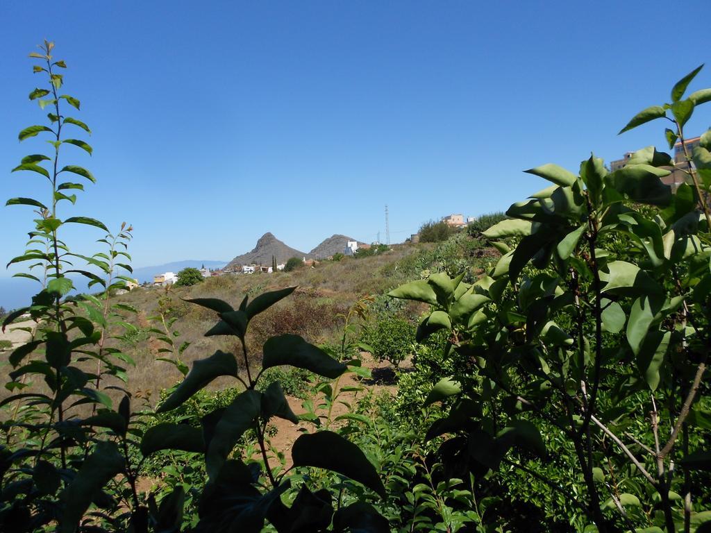 ビラフロール Casa Rural Isabelヴィラ エクステリア 写真